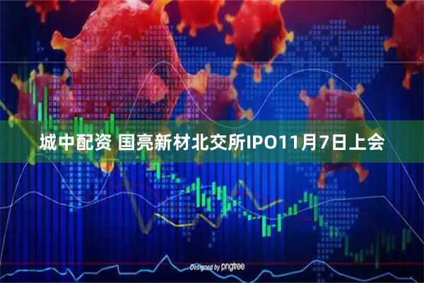 城中配资 国亮新材北交所IPO11月7日上会