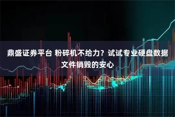 鼎盛证券平台 粉碎机不给力?试试专业硬盘数据文件销毁的安心